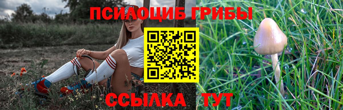 Долгопрудный  Псилоцибиновые грибы мицелий  Вход с VPN 